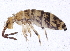  ( - BIOUG03993-E08)  @15 [ ] CreativeCommons - Attribution (2012) CBG Photography Group Centre for Biodiversity Genomics