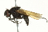  ( - BIOUG03215-D02)  @12 [ ] CreativeCommons - Attribution (2012) CBG Photography Group Centre for Biodiversity Genomics