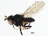  ( - BIOUG03210-H09)  @15 [ ] CreativeCommons - Attribution (2013) CBG Photography Group Centre for Biodiversity Genomics