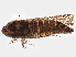  ( - BIOUG03214-G04)  @12 [ ] CreativeCommons - Attribution (2013) CBG Photography Group Centre for Biodiversity Genomics