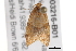  ( - BIOUG03216-B01)  @12 [ ] CreativeCommons - Attribution (2012) CBG Photography Group Centre for Biodiversity Genomics