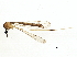  ( - BIOUG03219-C08)  @11 [ ] CreativeCommons - Attribution (2013) CBG Photography Group Centre for Biodiversity Genomics