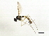  ( - BIOUG03219-D08)  @13 [ ] CreativeCommons - Attribution (2013) CBG Photography Group Centre for Biodiversity Genomics