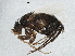  ( - BIOUG03369-H04)  @14 [ ] CreativeCommons - Attribution (2013) CBG Photography Group Centre for Biodiversity Genomics