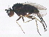  ( - BIOUG03440-E09)  @13 [ ] CreativeCommons - Attribution (2013) CBG Photography Group Centre for Biodiversity Genomics