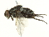  ( - BIOUG03338-F05)  @13 [ ] CreativeCommons - Attribution (2013) CBG Photography Group Centre for Biodiversity Genomics
