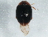  ( - BIOUG03260-C03)  @13 [ ] CreativeCommons - Attribution (2013) CBG Photography Group Centre for Biodiversity Genomics
