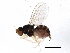  ( - BIOUG03341-A04)  @13 [ ] CreativeCommons - Attribution (2013) CBG Photography Group Centre for Biodiversity Genomics