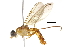  ( - BIOUG03374-C06)  @14 [ ] CreativeCommons - Attribution (2013) CBG Photography Group Centre for Biodiversity Genomics