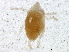  (Microtrombidiinae - BIOUG03563-F04)  @12 [ ] CreativeCommons - Attribution (2012) CBG Photography Group Centre for Biodiversity Genomics