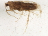  ( - BIOUG03266-H06)  @12 [ ] CreativeCommons - Attribution (2013) CBG Photography Group Centre for Biodiversity Genomics