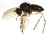  ( - BIOUG03448-A01)  @13 [ ] CreativeCommons - Attribution (2013) CBG Photography Group Centre for Biodiversity Genomics