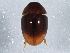  ( - BIOUG03515-A05)  @13 [ ] CreativeCommons - Attribution (2013) CBG Photography Group Centre for Biodiversity Genomics