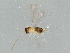  ( - BIOUG03565-A02)  @12 [ ] CreativeCommons - Attribution (2013) CBG Photography Group Centre for Biodiversity Genomics