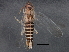  ( - BIOUG03639-D02)  @14 [ ] CreativeCommons - Attribution (2013) CBG Photography Group Centre for Biodiversity Genomics