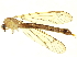  ( - BIOUG04005-C08)  @13 [ ] CreativeCommons - Attribution (2012) CBG Photography Group Centre for Biodiversity Genomics