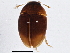  ( - BIOUG03515-D04)  @13 [ ] CreativeCommons - Attribution (2013) CBG Photography Group Centre for Biodiversity Genomics