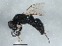  ( - BIOUG03688-G04)  @13 [ ] CreativeCommons - Attribution (2013) CBG Photography Group Centre for Biodiversity Genomics