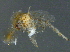  ( - BIOUG03762-G10)  @13 [ ] CreativeCommons - Attribution (2012) CBG Photography Group Centre for Biodiversity Genomics