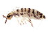  ( - BIOUG03735-B08)  @14 [ ] CreativeCommons - Attribution (2012) CBG Photography Group Centre for Biodiversity Genomics