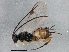  ( - BIOUG03770-E04)  @13 [ ] CreativeCommons - Attribution (2013) CBG Photography Group Centre for Biodiversity Genomics