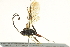  ( - BIOUG03906-C10)  @14 [ ] CreativeCommons - Attribution (2013) CBG Photography Group Centre for Biodiversity Genomics