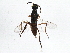  ( - BIOUG03770-C09)  @14 [ ] CreativeCommons - Attribution (2013) CBG Photography Group Centre for Biodiversity Genomics