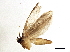  ( - BIOUG03411-E12)  @12 [ ] CreativeCommons - Attribution (2013) CBG Photography Group Centre for Biodiversity Genomics