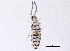  ( - BIOUG03932-A10)  @15 [ ] CreativeCommons - Attribution (2012) CBG Photography Group Centre for Biodiversity Genomics