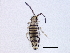  ( - BIOUG03932-B03)  @15 [ ] CreativeCommons - Attribution (2012) CBG Photography Group Centre for Biodiversity Genomics