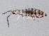  ( - BIOUG03932-B06)  @15 [ ] CreativeCommons - Attribution (2012) CBG Photography Group Centre for Biodiversity Genomics