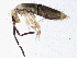  ( - BIOUG03932-B10)  @14 [ ] CreativeCommons - Attribution (2012) CBG Photography Group Centre for Biodiversity Genomics