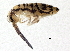  ( - BIOUG03932-C11)  @15 [ ] CreativeCommons - Attribution (2012) CBG Photography Group Centre for Biodiversity Genomics