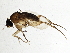  ( - BIOUG03908-E03)  @13 [ ] CreativeCommons - Attribution (2013) CBG Photography Group Centre for Biodiversity Genomics