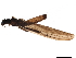  ( - BIOUG21086-B05)  @11 [ ] CreativeCommons - Attribution (2019) CBG Photography Group Centre for Biodiversity Genomics