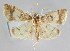  ( - NAFU Pyr000374)  @13 [ ] Copyright (2010) Unspecified Northwest Agriculture and Forest University