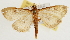  ( - Pyr001684)  @14 [ ] Copyright (2010) Unspecified Northwest Agriculture and Forest University