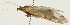  ( - Pyr001709)  @13 [ ] Copyright (2010) Unspecified Northwest Agriculture and Forest University