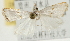  ( - Pyr001736)  @13 [ ] Copyright (2010) Unspecified Northwest Agriculture and Forest University