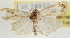  ( - Pyr001748)  @14 [ ] Copyright (2010) Unspecified Northwest Agriculture and Forest University