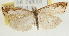  ( - Pyr001751)  @14 [ ] Copyright (2010) Unspecified Northwest Agriculture and Forest University