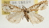  ( - Pyr001752)  @14 [ ] Copyright (2010) Unspecified Northwest Agriculture and Forest University