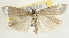  ( - Pyr001771)  @14 [ ] Copyright (2010) Unspecified Northwest Agriculture and Forest University