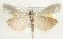 ( - Pyr001775)  @14 [ ] Copyright (2010) Unspecified Northwest Agriculture and Forest University