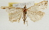  ( - Pyr001782)  @13 [ ] Copyright (2010) Unspecified Northwest Agriculture and Forest University
