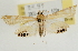  ( - Pyr001794)  @11 [ ] Copyright (2010) Unspecified Northwest Agriculture and Forest University