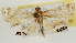  ( - Pyr001800)  @13 [ ] Copyright (2010) Unspecified Northwest Agriculture and Forest University