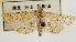  ( - Pyr001818)  @11 [ ] Copyright (2010) Unspecified Northwest Agriculture and Forest University