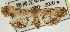  ( - Pyr001820)  @11 [ ] Copyright (2010) Unspecified Northwest Agriculture and Forest University