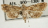  ( - Pyr001821)  @11 [ ] Copyright (2010) Unspecified Northwest Agriculture and Forest University